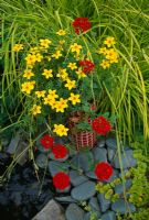 Red mosaic container planted with Bidens 'Yellow Breeze' and Verbena 'Sunmarisu'
 