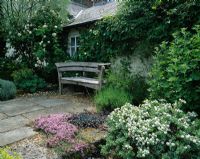 The breakfast corner with bench by Gaze Burvill surrounded by Lavandula 'Munstead', Hebe albicans and Thymus serphyllum