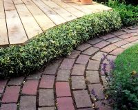 Curved path in brick edged with planting