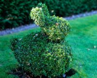 Topiary rabbit
