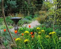 View to sundial in gravel garden with Tulipa 'Ballerina'