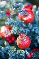 Christmas decoration poppy seed heads with glitter and pine