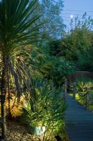 Tropical style garden with lighting beside 
deck boardwalk and full moon - The Old Yew Tree, Felsted, Essex