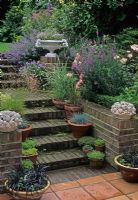 Containers on steps in mixed level garden - London