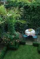 Overview of Buxus hedging around lawn in small urban back garden with Trachycarpus fortunei palm in container with pink Pelargonium beside table and chairs - London