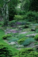 Alpine rockery in shady part of garden - 
NY Botanic USA