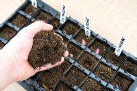Planting seeds - beans in 'Rootrainers' capsules, covering seeds with compost, 5 steps 
