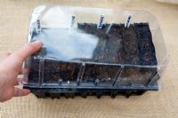 Planting seeds in 'Rootrainers' capsules, covering seeds with plastic lid to contain moisture, 5 steps