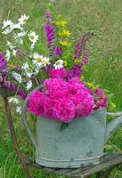 Still Life with flowers in galvanised watering can on slatted chair in long grass   