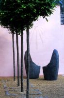 Sculpted chairs by Dennis Fairweather under clipped Hornbeam. Pink colour washed walls and gravel surfacing at Chelsea FS 2003