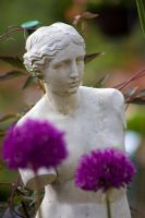 Statue with Allium - Waterperry gardens