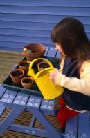 Girl watering sunflower seeds