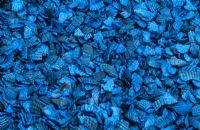 Blue paradeis shell mulch