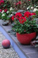 Red concrete container planted with Pelargoniums, with red concrete sphere