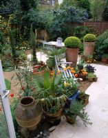 Urban garden with marble floor, terracotta pots with Buxus - Box topiary balls