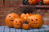 Halloween still life - pumpkin lanterns planted with Ophiopogon planiscapus 'Nigrescens' and Uncinia rubra