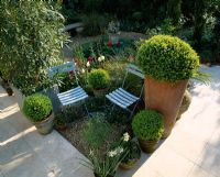 Small garden with blue cafe chairs, box balls in terracotta pots, hard italian limestone flooring, tulips and gravel