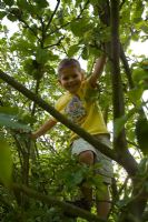 Young boy climbing tree