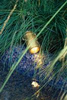 Partially concealed spolight shines through grass into pool