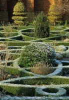 Knot garden in frost at Hatfield House, Herts.