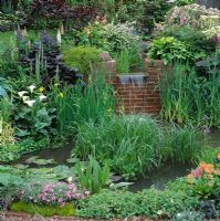 Small town garden with waterfall over brick wall into lily pond surrounded by marginals