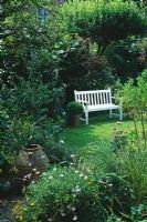 Secluded white bench seat on lawn with shrubs as screen behind