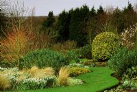 Winter border with Galanthus alpinus  'Atkinsii', Euphorbia and Cornus  'Midwinter Fire' at Glen Chantry, Essex 