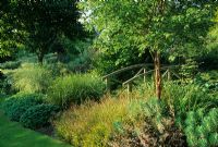 Summer border with shrubs and trees with bridge at Glen Chantry, Wickham Bishops, Essex