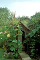 Childrens garden with play house, climbing Pumpkin and Runner beans at Pannells Ash Farm West, Essex 
