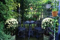 Secluded seating area with metal table and chair. Blue painted trellis screens and  white standard Chrysanthemums