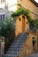 Mediterranean front garden with Oleander,  stone steps and overhanging Wisteria in Tuscany, Italy