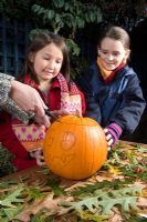 Girls watching adult cutting top of pumpkin, sequence of making Halloween lantern