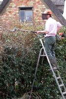 Trimming the top of a mixed hedge, including Eleagnus, with a long blade on a petrol driven hedge cutter. Man wearing a safety helmet on a ladder.