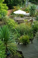Garden design inspired by Daintree forest, Australia. Decked boardwalks leading to pond and lush green planting of Fatsia, Robinia, Cordyline and Phormium - Felsted, Essex 