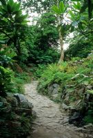 Crazy paving stone path between raised borders with retaining walls - Lost Gardens of Heligan, Cornwall