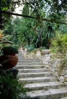 Mediterranean garden with drought tolerant planting of Cordylines, Yuccas, Palms and Echiums lining steps down hill - Close du Peyronnet, Menton, South of France
