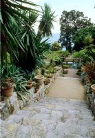 Mediterranean garden with drought tolerant planting of Yuccas and Agaves and views of sea - Clos du Peyronnet, Menton, South of France
