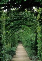 Green arches over path - Jardins du Prieure, Notre Dame d Orsan,  France  