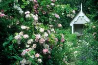 Summerhouse at end of brick path obscrued by abundant roses - Park Farm, Chelmsford, Essex