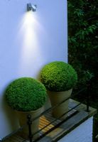 Downlighter shining on two Buxus - Box balls in terracotta containers pots on  decked ledge with black iron rails 