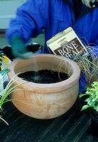 Planting a terracotta container - Slow release bone meal plant food being added to soil