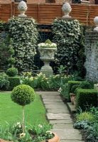 Spring bulbs of Narcissus in border with plinth urn containing cream Viola in small garden - London 