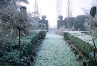 Heavy frost and mist on clipped Buxus hedge - Park Farm, Esssex