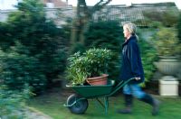 Woman pushing potted plants in a wheelbarrow.