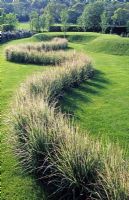 Line of ornamental grass Calamagrostis 'Overdam' and turf earthworks - The Wrekin Garden, Shropshire 
