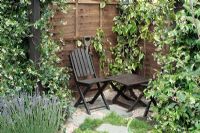 Wooden table and chairs under pergola in small urban garden. Trachelospermum jasminoides, Hedera, lavender. Thymus and Chamaemelum nobile between paving slabs and gravel - 'The Giving Garden', Hampton Court 2007