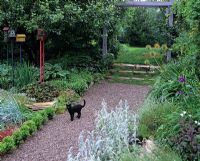 Black kitten on gravel path lined with Buxus in country garden, borders with colourful patterned bird boxes, Stachys, Hosta, Heuchers, steps up to pergola