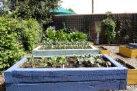 Vegetables growing in raised beds using recycled coloured wood