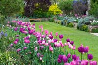 Tulip planting - Sudeley Castle, Gloucestershire  
