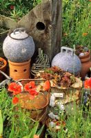 Found objects and Poppies in Derek Jarman's garden, Dungeness, Kent 